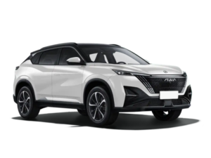Dongfeng Mage