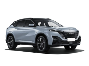 Dongfeng Mage