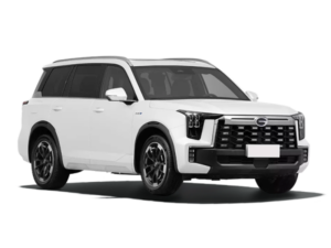 GAC GS8 Traveller
